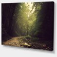thumbnail image 2 of Wild Way into the Dark Forest - Impression sur Toile Forest, 2 of 3
