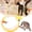 Yellow, variant on Collapsible Spiral Cat Tunnel Toy Folded Spring S-Shape Type Cat Tunnel Pet Toy Large, Cat Tunnels for Indoor Cats with Feather Plush Mice (Light Blue)