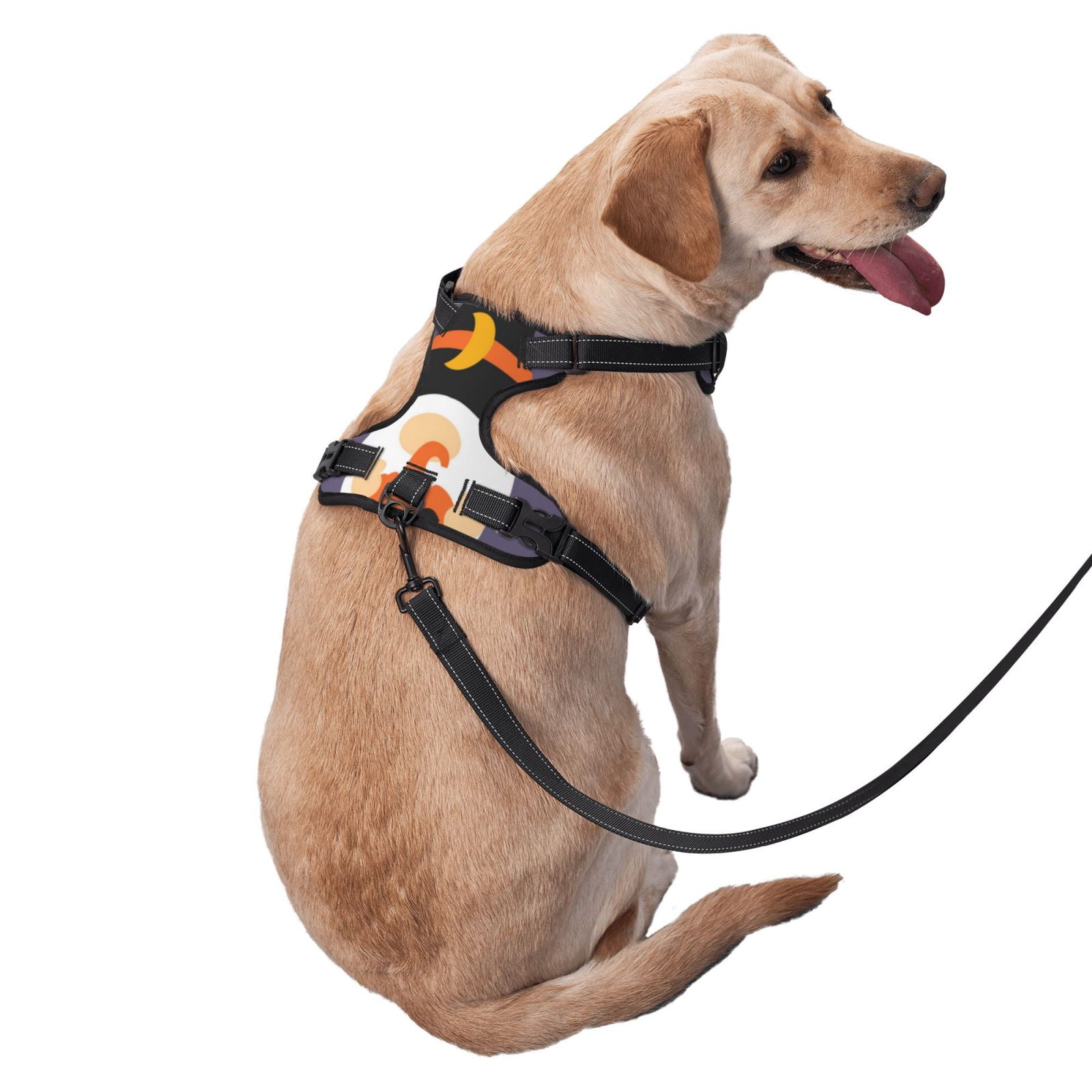 Fuzoiu Halloween Gnomes Print Reflective Dog Harness,Adjustable, Breathable Pet Vest,Dog Harness No Pull,No Choke Pet Vest for Small, Medium, and Large Dogs-Medium