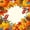 Orange 9, variant on Manfei Classic Halloween Pumpkin Lantern Full Size Comforter Sets,Cobweb Print Bedding Comforter Set,Light Gray Reversible,3 Pieces,1 Comforter and 2 Pillowcases