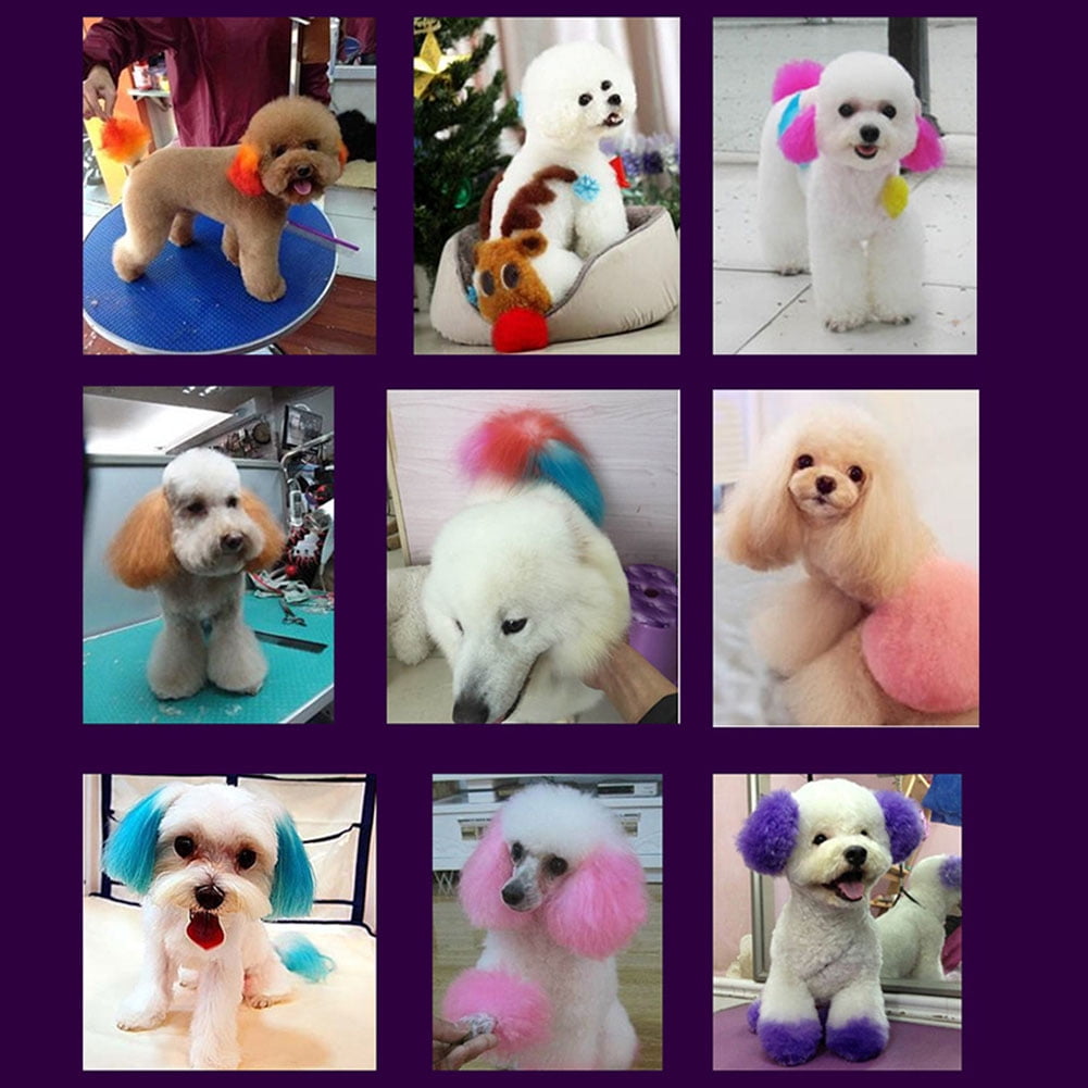 Flm 100ml Harmless Semipermanent Fur Coloring Grooming Pet Dog Cat