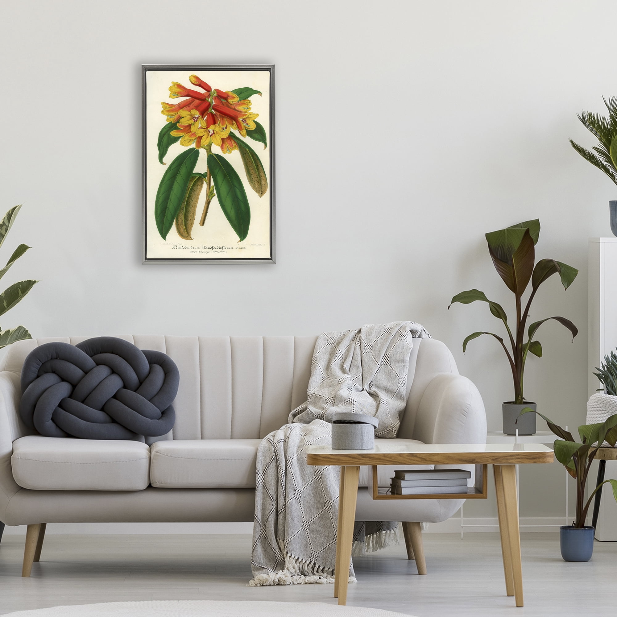 Stupell Industries Orange Yellow Rhododendron Gray Framed Floater Canvas Wall Art, design by Print Collection