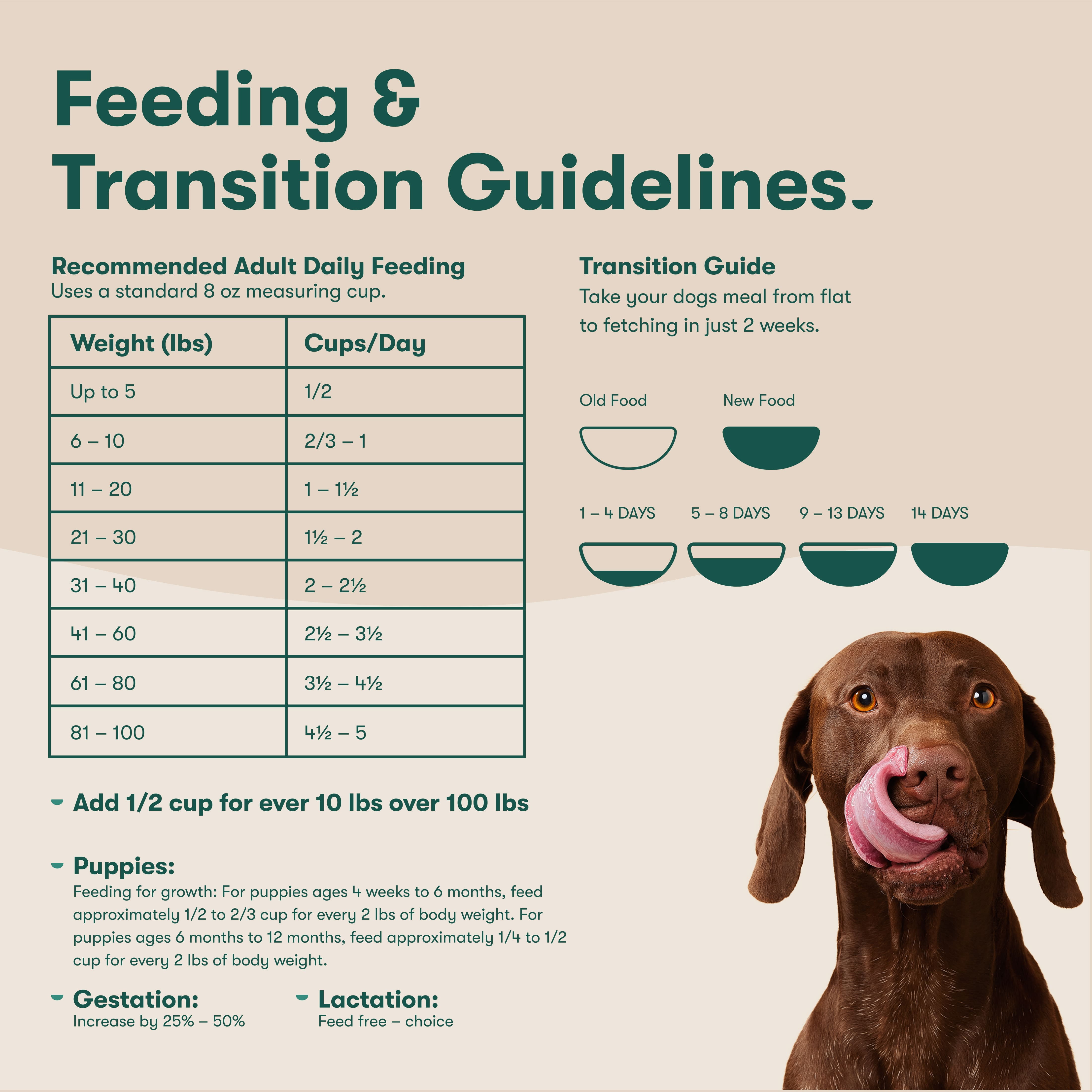 Jinx Cage-Free Chicken, Brown Rice & Sweet Potato Dry Dog Food, 4 lb. Bag