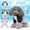 Blue, variant on kladzum Dog Sweaters Dog Warm Shirt Pet Pajamas Printed Four-Legged Pajamas Knitted Pet Clothes, Dog Sweaters, Small Dog Coat Warm Sweartershirts