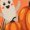 Heather Orange, variant on Purrrinormal Activity Cat Halloween Mummy T-Shirt