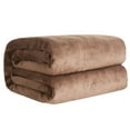 thumbnail image 2 of Fleece Throw Blanket - Full Size Blankets for Bed - Throw Blanket for Couch and Bed - Super Soft Warm Solid Warm Micro Plush Fleece Blanket Throw Rug Sofa Bedding 27" x 39" Light Brown, 2 of 8