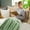 Green, variant on Bigersell Throw Blanket for Couch Soft Cozy Fuzzy Fleece Blanket Bed Sofa Thick Warm Blanket for Winter Fall Blankets and Throws 78" x 47" Flannel Bedding Blankets Yellow