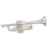Bach C180SL229CC Stradivarius Chicago C Trumpet (Silver Plated)