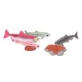 thumbnail image 4 of Growth Cycle Model  Material Safe Odorless Vivid Real Salmon Animal Life Cycle Model for Above 3 Years Old, 4 of 7