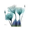 thumbnail image 2 of Art.com Gentian Buddies Art Print by Albert Koetsier, 16" x 16", 2 of 4
