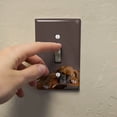 thumbnail image 3 of Boxer Puppy Dog Sleeping on Guitar Plastic Wall Decor Toggle Light Switch Plate Cover, 3 of 4