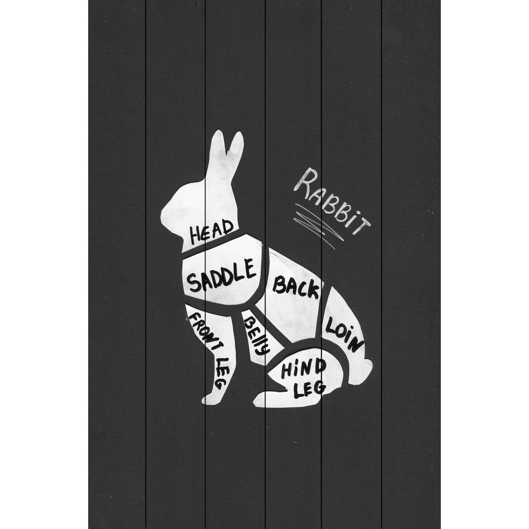 "Rabbit Formation" Painting Print on White Wood