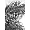 thumbnail image 2 of Frates, Dennis 11x14 White Modern Wood Framed Museum Art Print Titled - Tropical Fan, 2 of 4