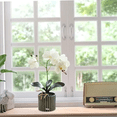 thumbnail image 5 of Arreglo Orquídea Artificiales Decoración 43 cm Belug, Blanca, 5 of 5