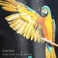 thumbnail image 2 of Koala Premium Photo Paper 8.5 x 11 in Luster Photo Printer Paper for Inkjet Printer Water-Resistant Soft Gloss 66lb 50, 2 of 5