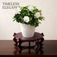 2 Pcs Wooden Plant Stand, Chinese Display Stand with Heavy Duty 5-Leg ...