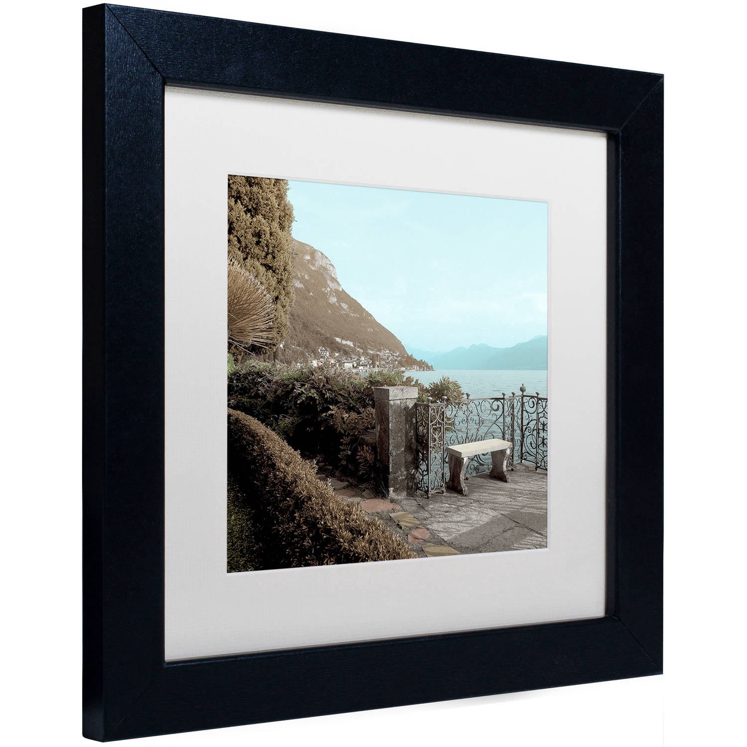 Trademark Fine Art "Lake Vista IV" Canvas Art by Alan Blaustein, White Matte, Black Frame