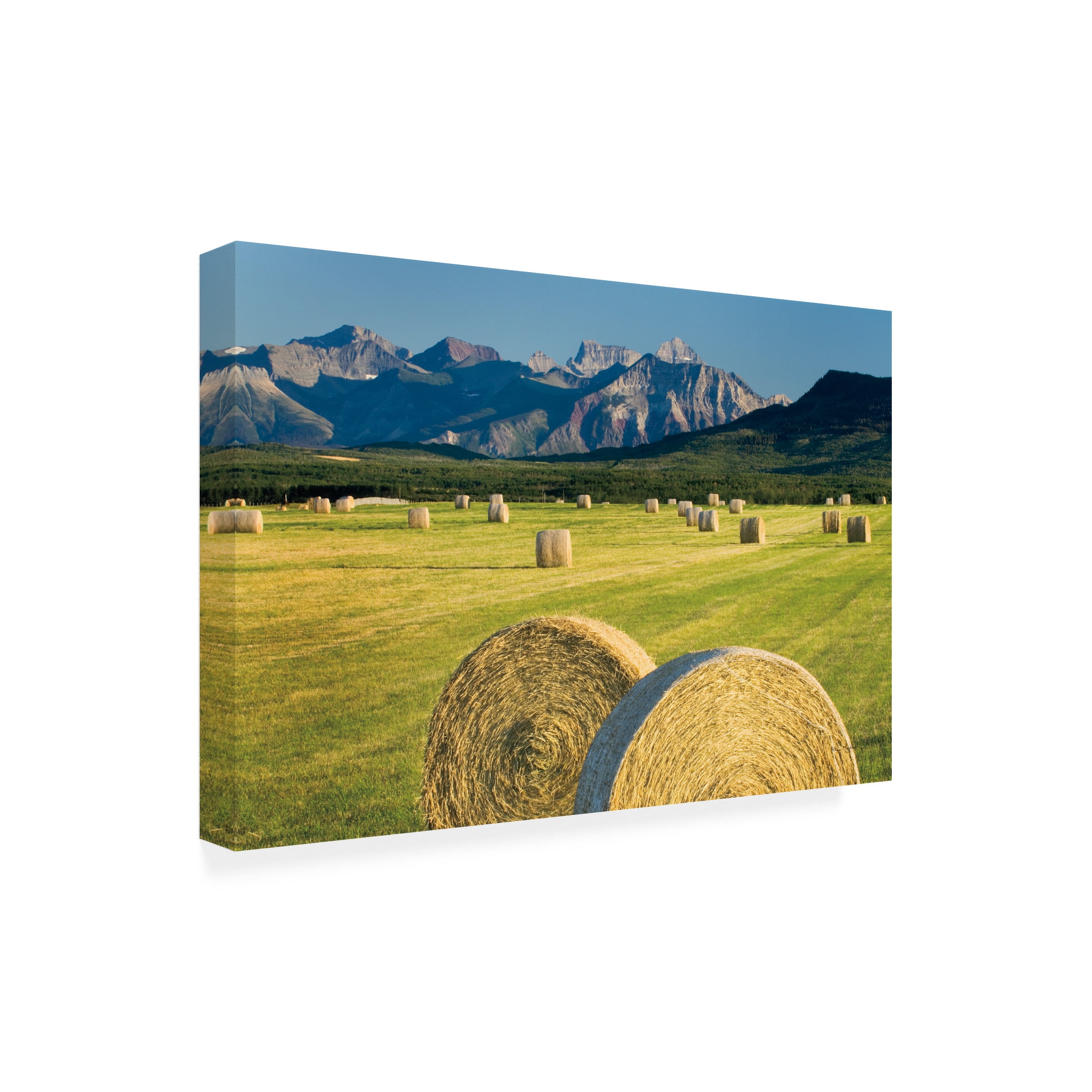 Alan Majchrowicz 'Waterton Hay Bales' Canvas Art