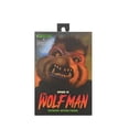 thumbnail image 1 of NECA Universal Monsters/Teenage Mutant Ninja Turtles Raphael as The Wolfman 7 Scale Action Figure, 1 of 5