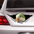 thumbnail image 1 of GHSDFBB Quaker Decal, Parrot Sticker, car Decal Sticker for Cars, Windows, Walls, Fridge, 6 Inch, 1 of 1