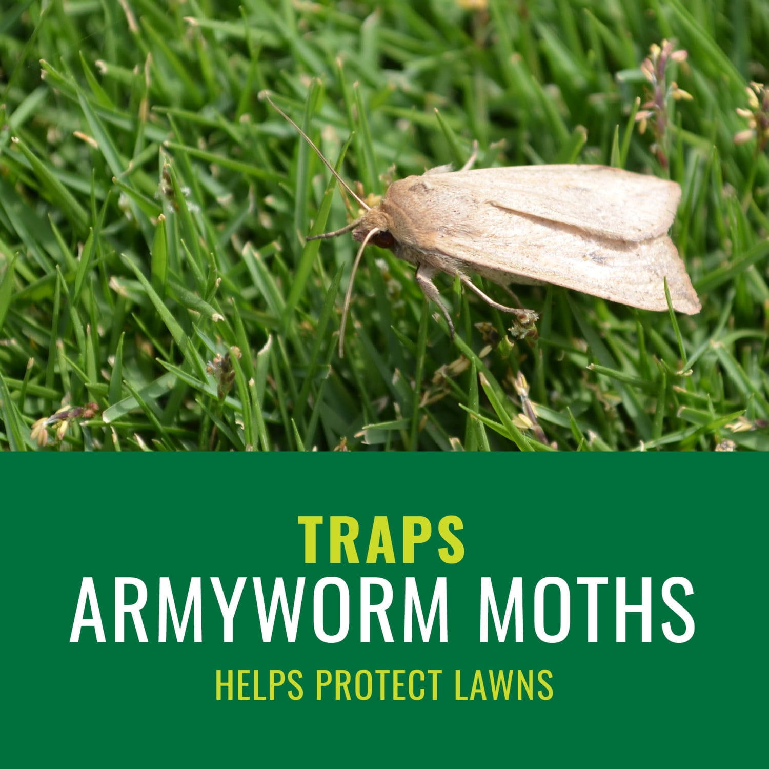 NATRIA Armyworm Pheromone Trap, Ready-To-Use, 3,380 Sq. Ft. (1-Pack)