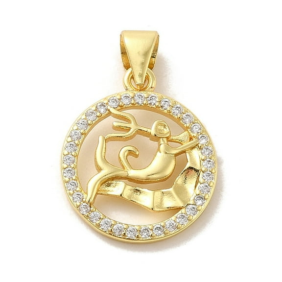 Zodiac Theme Brass Micro Pave Cubic Zirconia Pendants Aquarius Aquarius 17.5~18x15x2~2.5mm Hole: 6x4mm