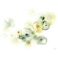 thumbnail image 3 of Vess, June Erica 24x19 Black Modern Framed Museum Art Print Titled - Rock Lichen I, 3 of 5