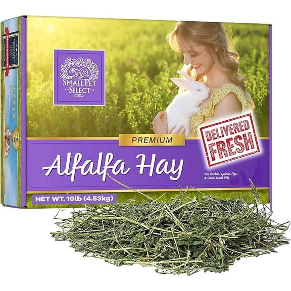 Small Pet Select Alfalfa Hay Pet Food for Young Rabbits, Guinea Pigs, Chinchillas, Tortoises and Other Small Animals, Easy to Store Box, 10 LB
