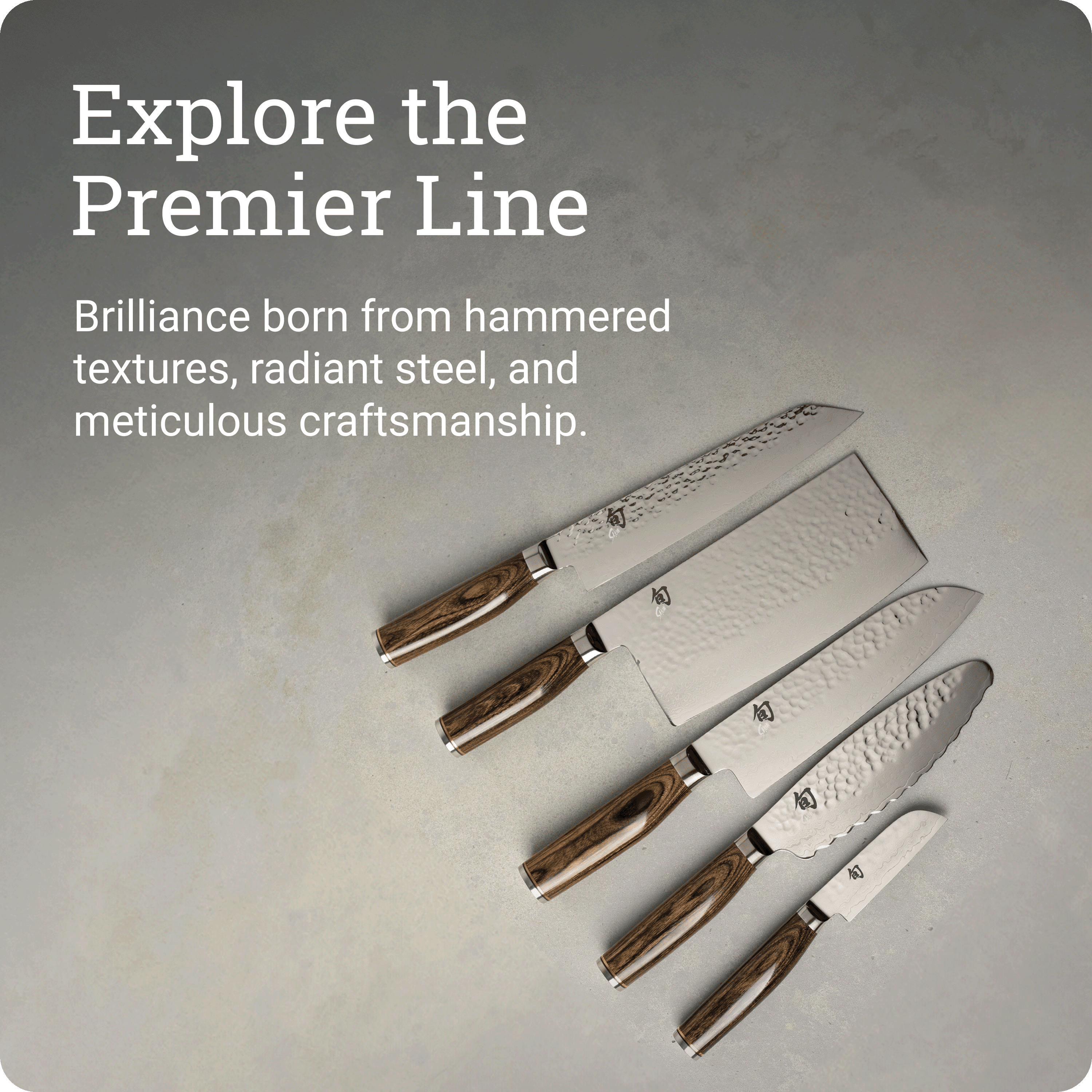 Shun Premier 9" Bread Knife, VG-MAX Core with Damascus Stainless Steel Cladding, Pakkawood Handle, Serrated Bread Knife