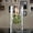 Clear, variant on Refillable Liquid Petite Oil Lamp: Glass Oil Light Borosilicate Includes Bliss Suspended Hurricane Candle Holder Sleeve Lamp, Oil Candle Vessels for Table Centerpieces Decor (Green)
