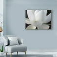 thumbnail image 3 of Trademark Fine Art 'Delicate Lotus V' Canvas Art by Jim Christensen, 3 of 4