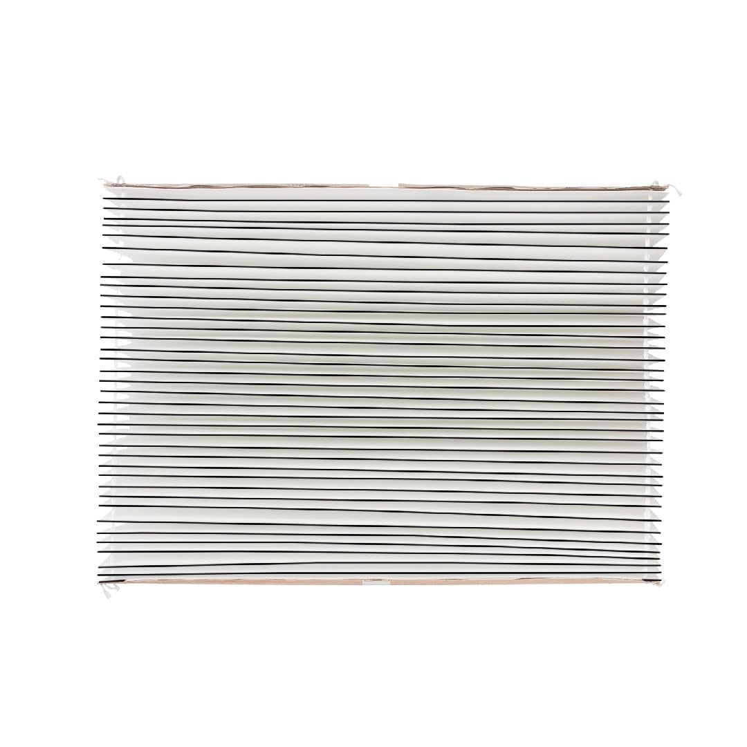 AprilAire 501 Replacement Filter for AprilAire Whole-House Electronic Air Purifier Model 5000 - MERV 16 Allergy, Asthma & Virus Filter (Pack of 2)