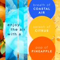 thumbnail image 4 of Glade Automatic Spray Refills, Air Freshener, Infused with Essential Oils, Coastal Sunshine Citrus, 6.2 oz, 4 of 5