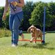 thumbnail image 3 of Clicker para entrenamiento de perros, 3 uds., Animal Pet con muñequeras, clickers de colores surtidos para entrenamiento de perros y ayuda para la obediencia Sincero Hogar, 3 of 5