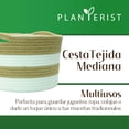thumbnail image 2 of Planterist Cesta Organizadora Mediana Tejida – Algodón Lavable, Plegable y Portable – Multiusos 30x18.5 cm para Almacenaje, Decoración y Ropa Sucia (Pátzcuaro), 2 of 9
