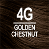 4G Golden Chestnut