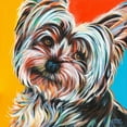 thumbnail image 2 of Vitaletti, Carolee 12x12 White Modern Wood Framed Museum Art Print Titled - Sweet Yorkie II, 2 of 4