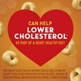 thumbnail image 4 of Honey Nut Cheerios, Heart Healthy Gluten Free Breakfast Cereal, Resealable Bag, 32 oz(pack of 2), 4 of 5