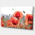 thumbnail image 2 of Soft Poppy Flowers Petals View - Floral Canvas Art Print, 2 of 3