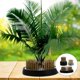 thumbnail image 4 of 3PCS Round Flower Arrangement Needle Base DIY Floral Flower Pin Fixed Tool, 4 of 4