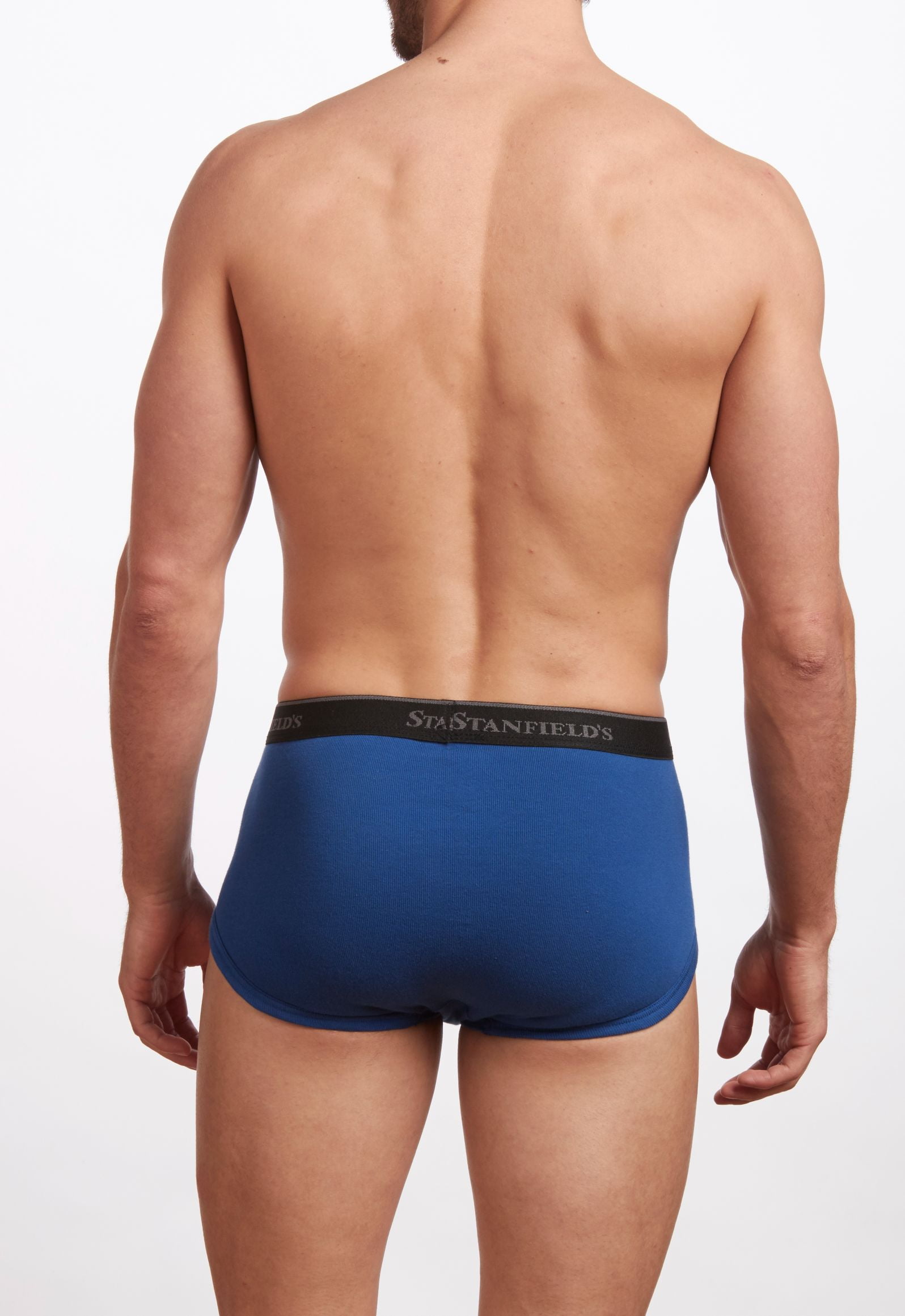 Stanfield's 3-Pack Adult Mens Premium Cotton Regular Rise Briefs, Sizes S-XL