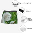thumbnail image 6 of KLL Dandelion Flower In The Meadow Men's Cotton Boxer Briefs Underwear-X-Large, 6 of 7