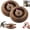 2Pc, variant on XIAOMUMU 2025 Foldable Accordion Cat Scratcher, Durable Cardboard Cat Interactive Toy with Ball, Indoor Pet Entertainment Supplies