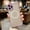 Purple, variant on Allytechgroup Case for iPhone 16 Plus Women Men, Support Wireless Charging Slim Fit Phone Case Shockproof Protective Magnetic Back Cover for iPhone 16 Plus, Iceblue