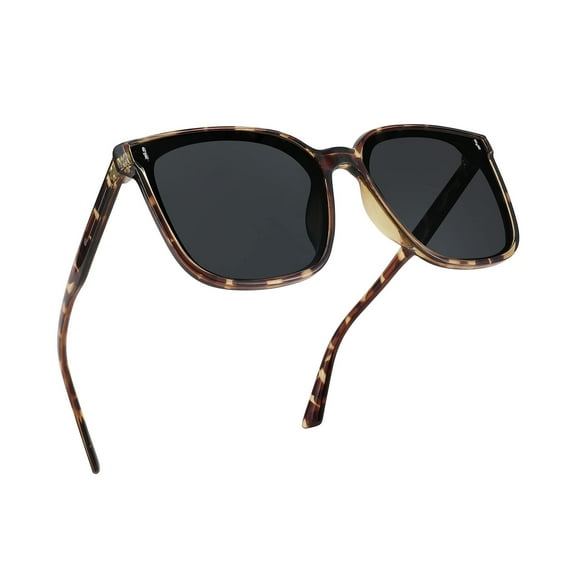 Gafas de sol FEISEDY Vintage Polarizadas Oversized Square B2758