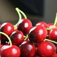 thumbnail image 3 of 30PCS Artificial Cherry Creative Decorative Lifelike Artificial Fruit Fake Fruit, 3 of 10