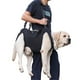 thumbnail image 2 of Arnés de elevación ajustable para perros perros grandes correa para piernas soporte para piernas arnés de elevación, 2 of 5