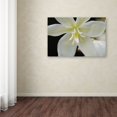 thumbnail image 3 of Trademark Fine Art "Hope" Canvas Art by Monica Mize, 3 of 3