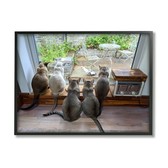 Stupell Industries Cats Watching Bird at Window Animals & Insects Photography Black Framed Art Print Wall Art, 20 x 16