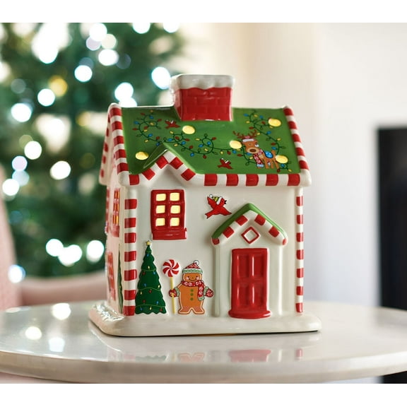 Temp-tations Whimsical Lit House